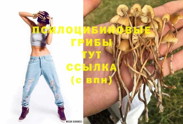 ALPHA-PVP Алексин