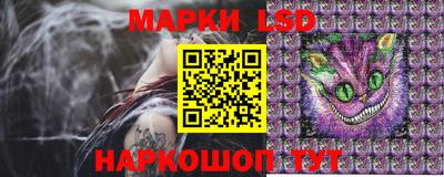 СК Заводоуковск