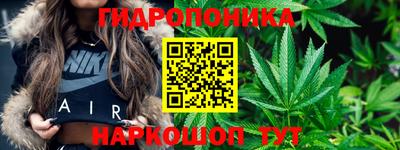 СК Заводоуковск
