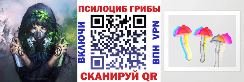 OMG tor  Кирово-Чепецк  Псилоцибиновые грибы MAGIC MUSHROOMS  что такое наркотик 