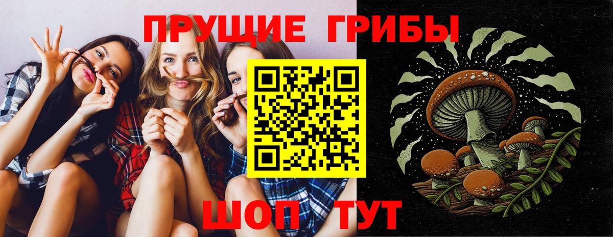 Кирово-Чепецк  Галлюциногенные грибы Magic Shrooms  Псилоцибиновые грибы GOLDEN TEACHER  Вход с VPN 